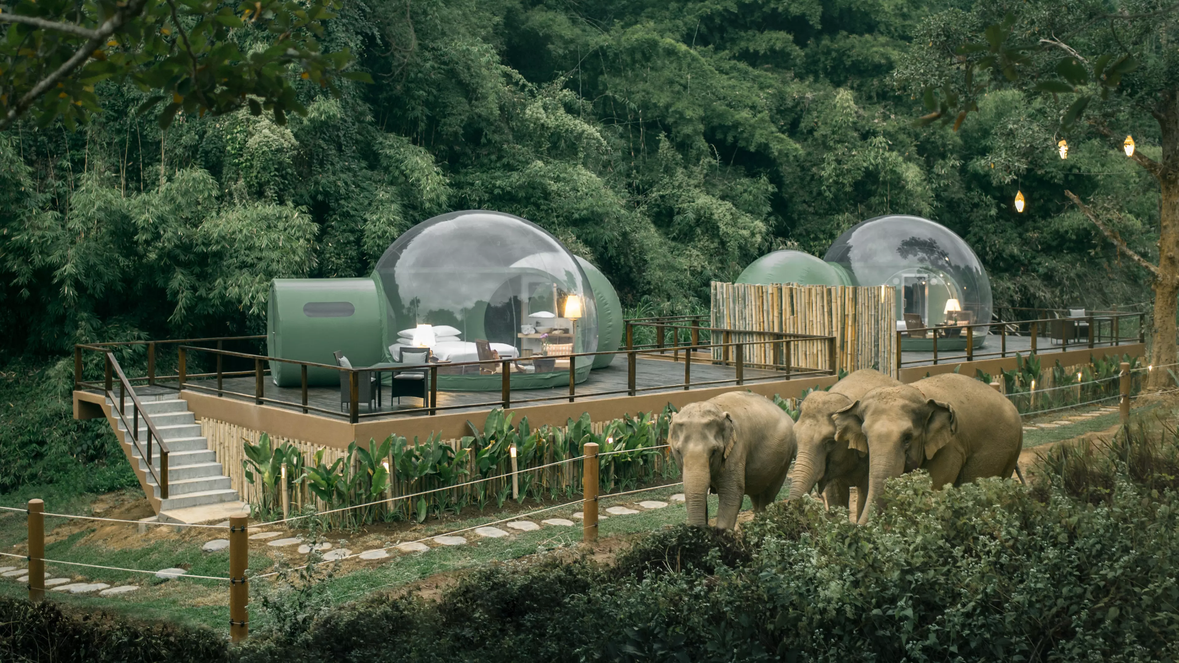 You Can Sleep Under The Stars Next To Elephants In These Bubble Pods In Thailand