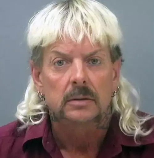 The series focuses on Joe Exotic who was arrested for a murder for hire plot (