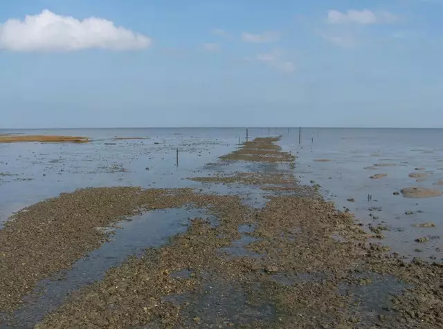 The headway at Wakering Stairs, the current southerly starting point of the Broomway.