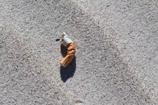A cigarette butt lying on the beach.