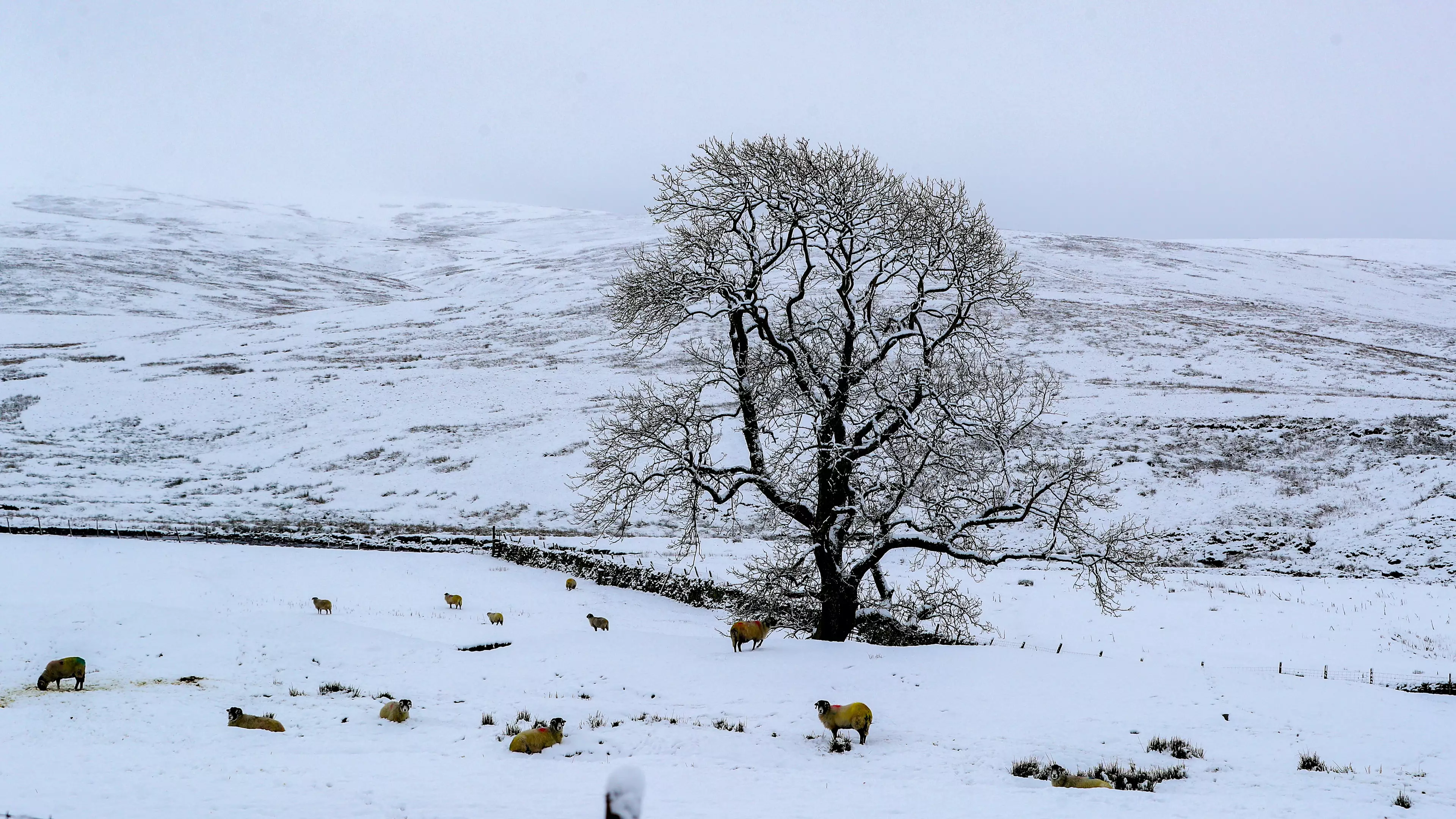 Snow Could Disappear From UK By The End Of Century, Met Office Warns