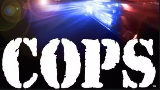 Long Running Series Cops Has Been Cancelled In The Wake Of George Floyd's Death