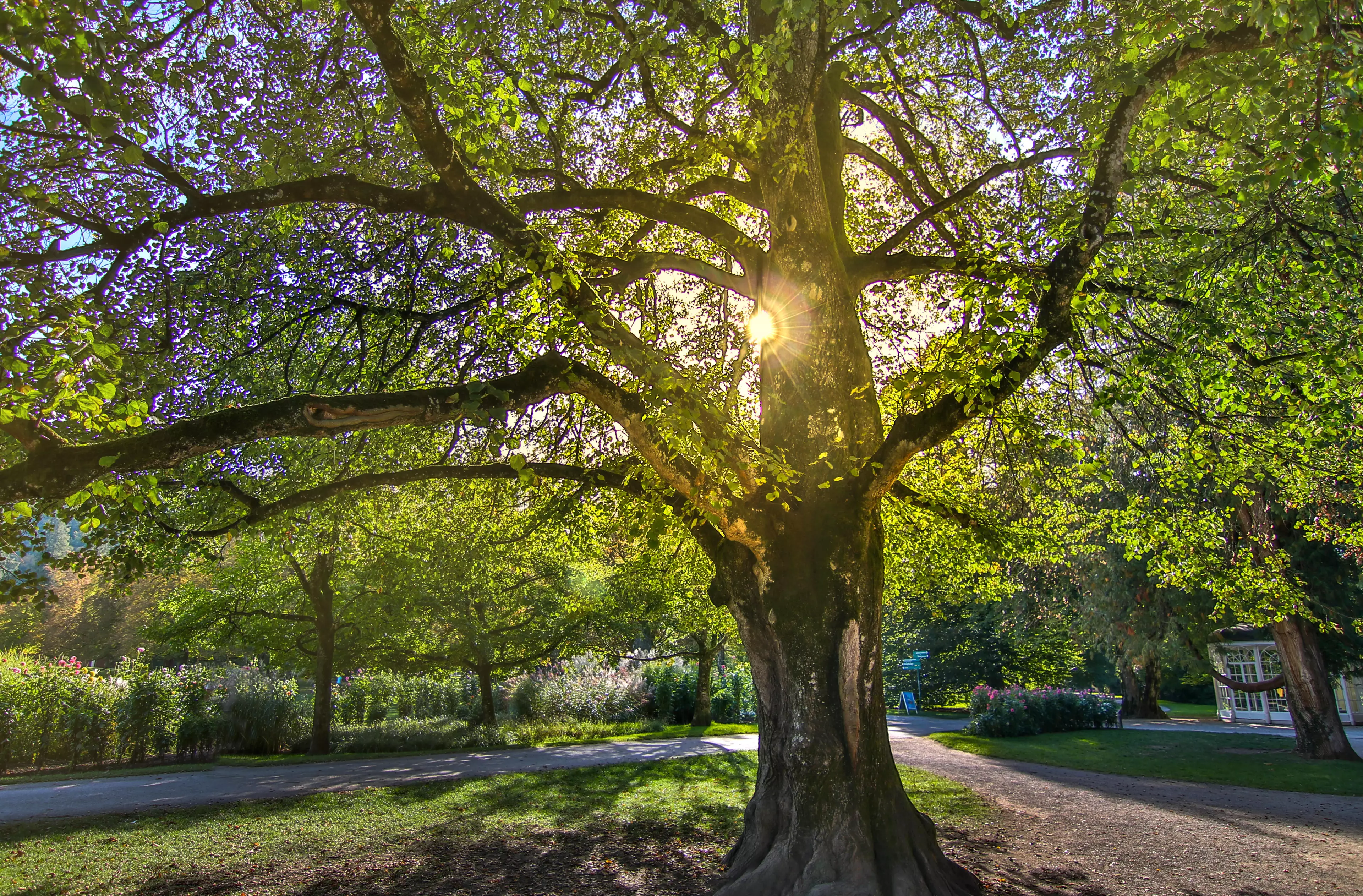 Too much sun can be bad news for dyed hair (