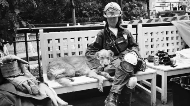 Today We Remember the Heroic Dogs Of The 9/11 Terror Attack