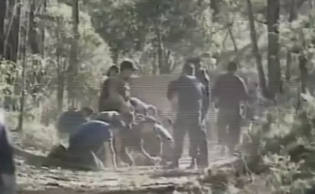 Officers searching Belanglo State Forest for the victims.