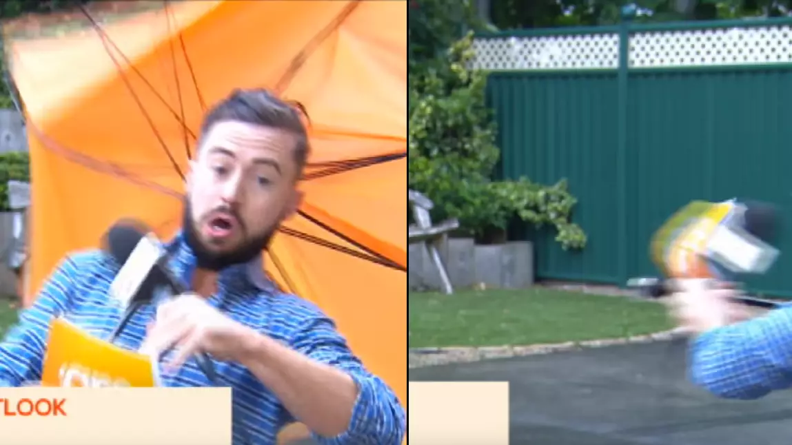 Weather Reporter Literally Gets Blown Away By Wind During Broadcast