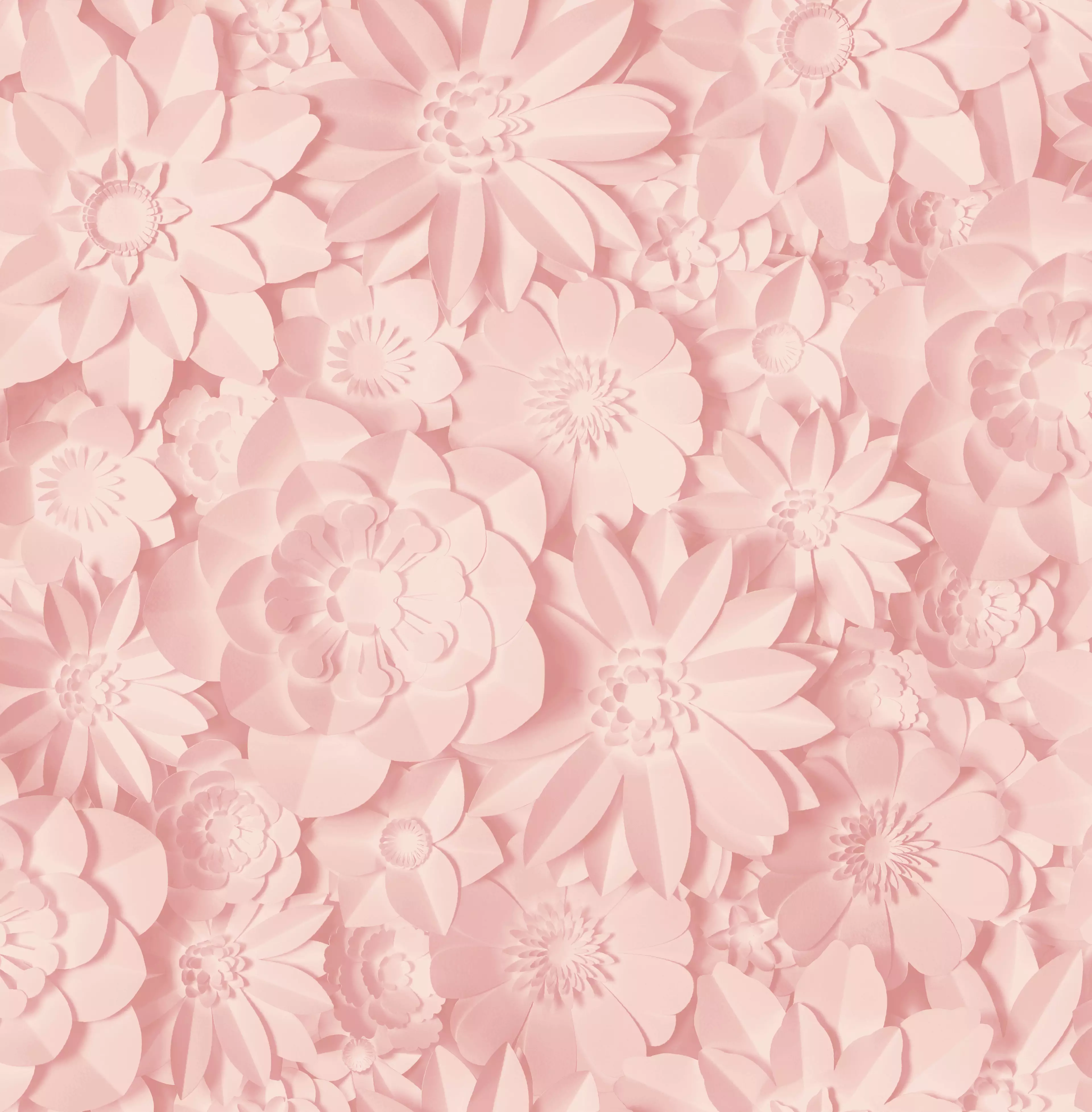 Dimensions Floral wallpaper, £7.59 per roll (