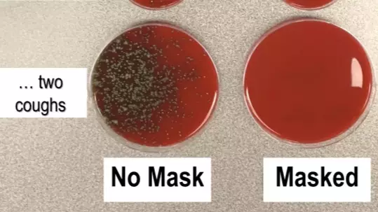 Microbiologist Shares Photos That Show How Effective Masks Are At Stopping Coronavirus Spread 