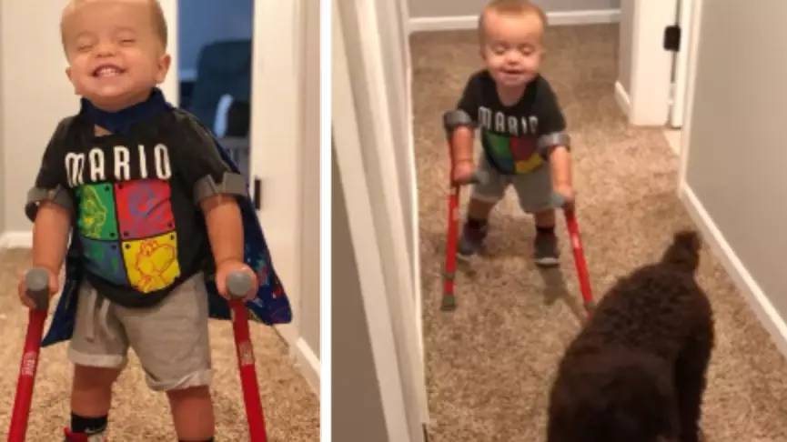 Dog Helps Little Boy With Spina Bifida Walk On Crutches For The First Time