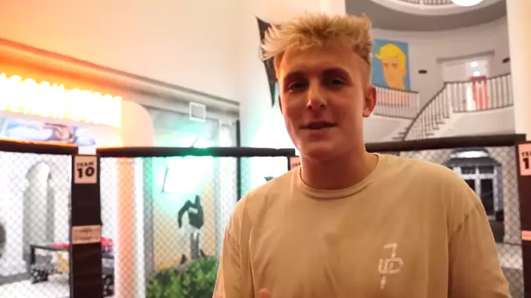 Jake Paul Calls Out KSI To MMA Fight With One Condition 
