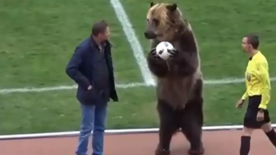 Russian Football League Criticised As Bear Is Brought Out Before Match
