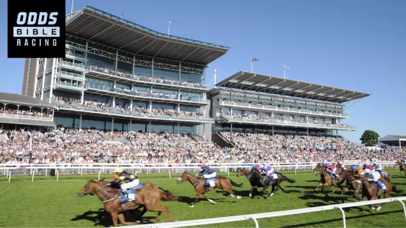 ODDSbibleRacing's Best Bets For Saturday's Action At Chepstow, Haydock And More