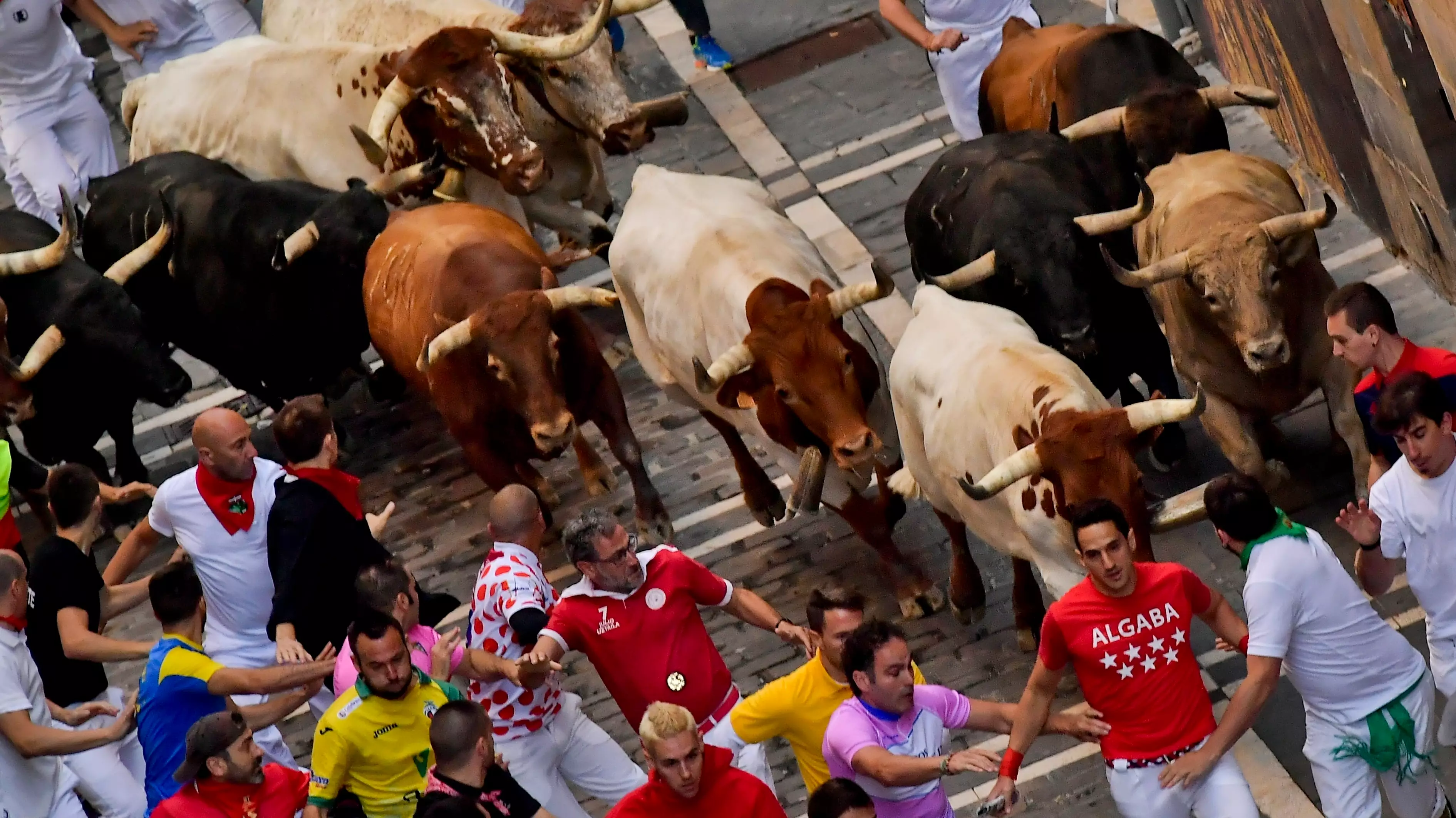 Five Taken To Hospital After Being Injured At Spanish Bull Running Event 