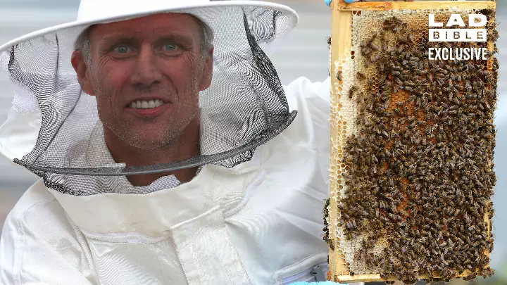 Happy Mondays Dancer Bez Harvests ‘Viagra-Honey’ From Beekeeping Hobby