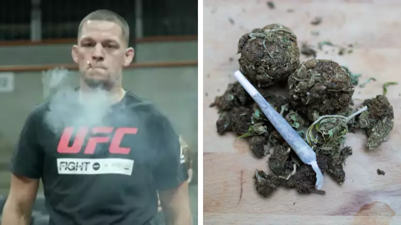 Study Finds Almost Half Of All MMA Fighters Use Marijuana