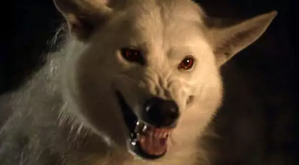Where Was Jon Snow's Direwolf Ghost During The Battle Of The Bastards?