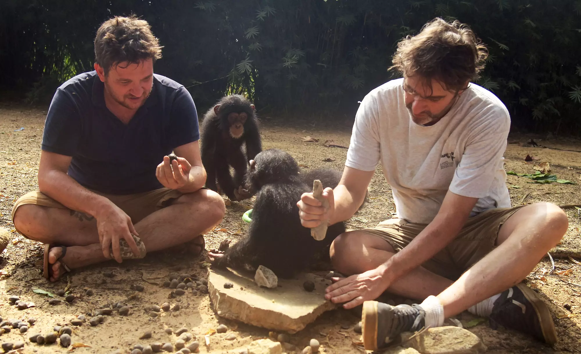 Jimmy, Jenny and the team of caregivers provide a safe space and care system for the chimp babies (