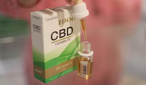 CBD oil is a substance extracted from the cannabis plant by steam distillation. (