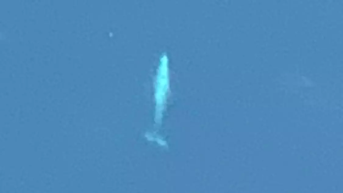 ​Woman Shares Incredible Photo Of Whale She Spotted From Plane