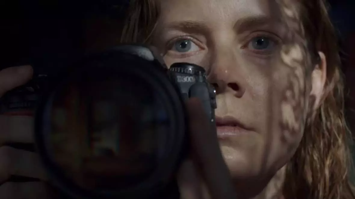 Netflix's New Film The Woman In The Window Is Dividing Viewers
