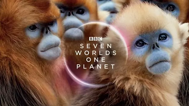 David Attenborough's Seven Worlds, One Planet Released 27 October