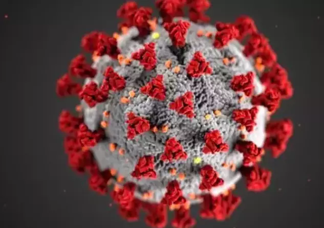 Covid-19 is a new type of coronavirus killing thousands (