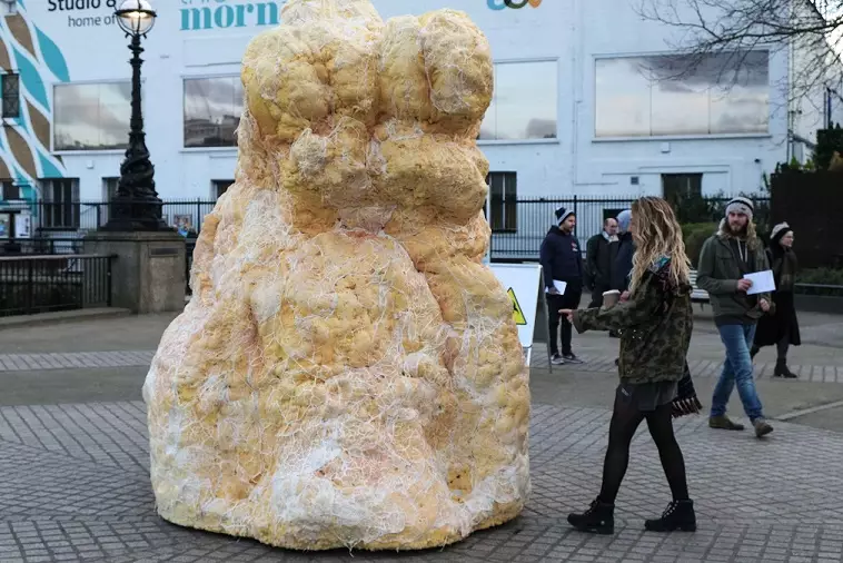 Lump of real fat representing the UK's 131-tonne collective weight gain over Christmas.