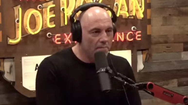 Joe Rogan Slammed For Saying It's 'Very Strange' To Call Someone 'Black'