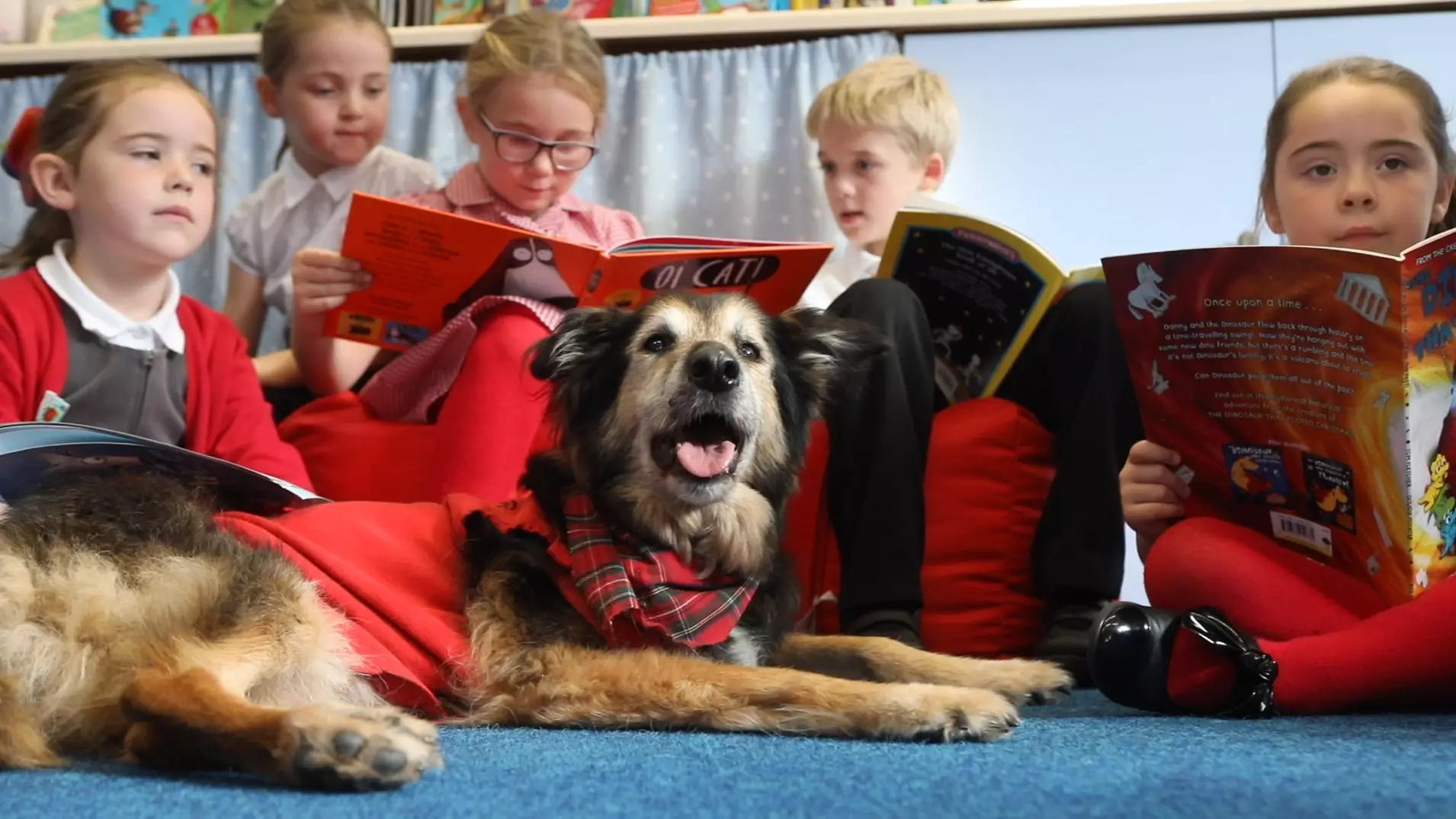 Adorable Dog Helps School Children Learn To Read And Has His Own Uniform