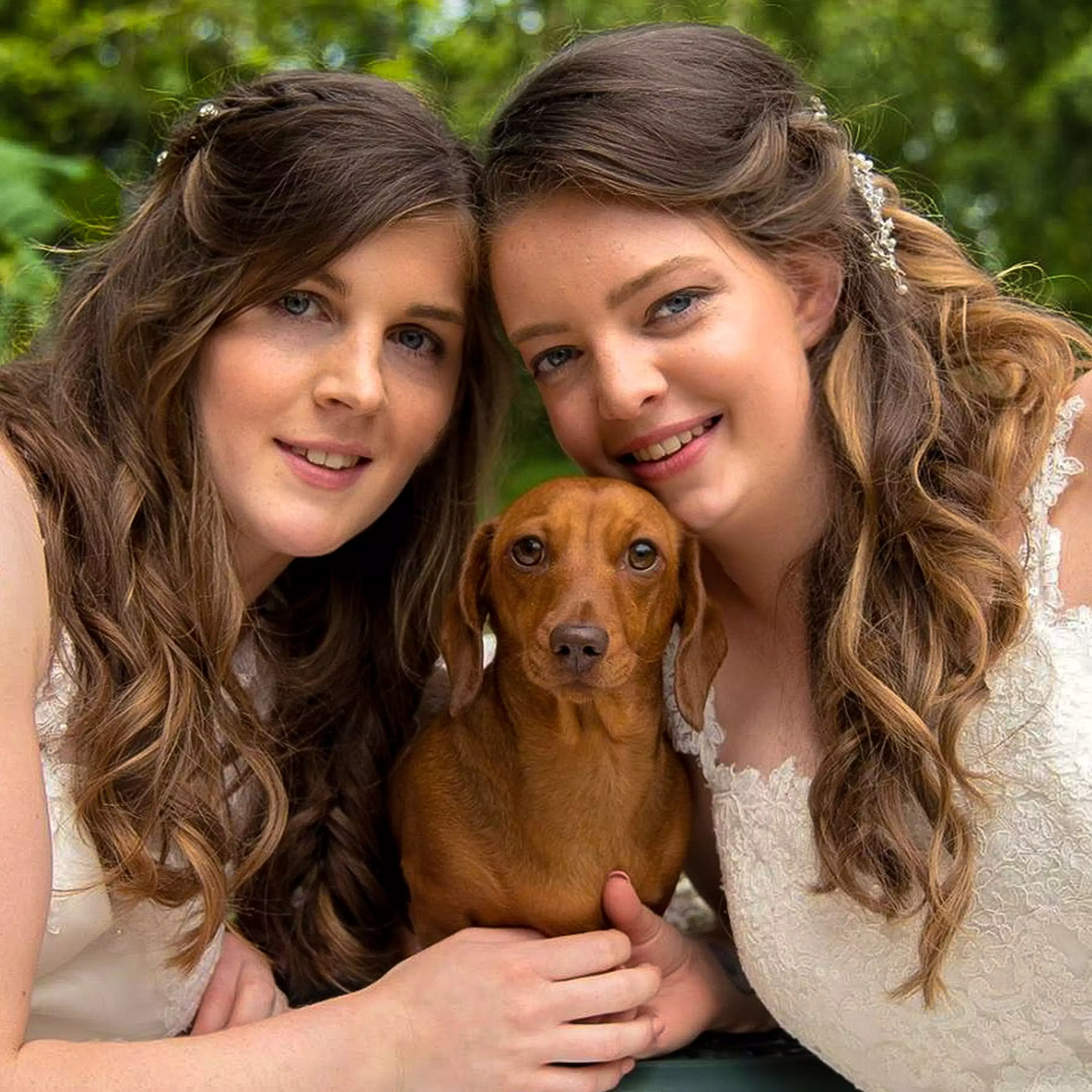 First Time Buyers Give Up House Deposit to Pay for Sausage Dog’s £5k Life-Saving Operation