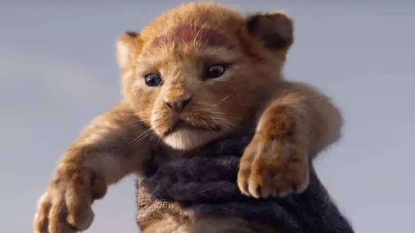 ​Lion King Cast & Who’s Starring Alongside Beyoncé in Disney’s 2019 Remake