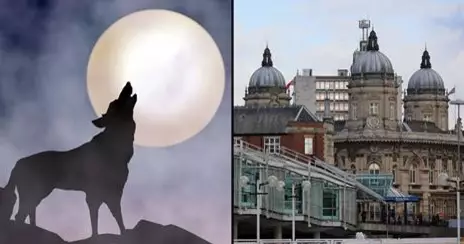 Panic In UK City After Sightings Of 'Eight-Foot Werewolf'