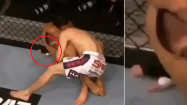 Rafael Dos Anjos Posts Rare Footage Of Khabib Nurmagomedov 'Snoring' After Choke In 2014 Fight