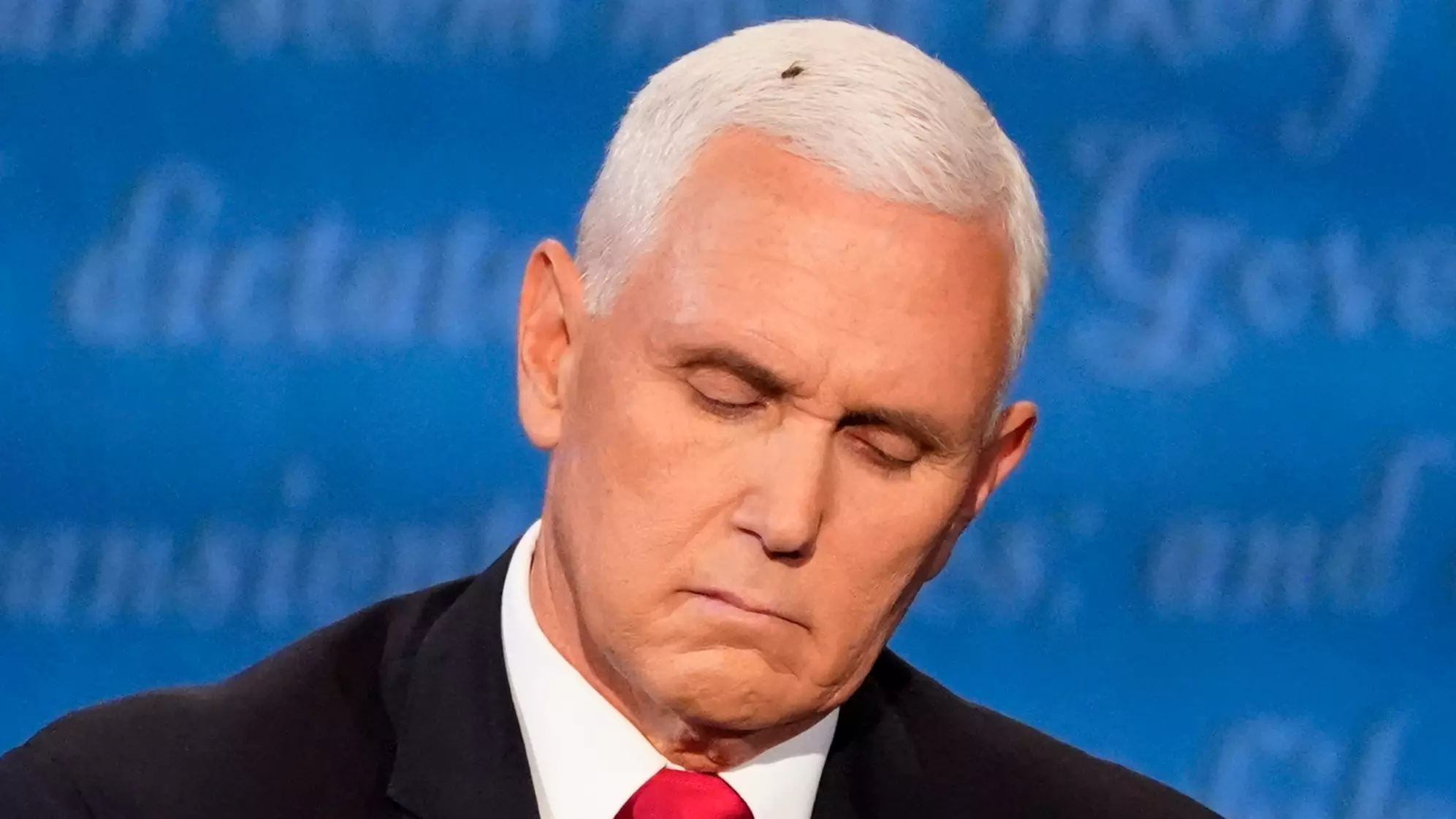 Mike Pence's Fly Has Already Been Turned Into Halloween Costume