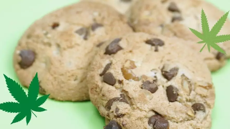 Six Women Called Triple Zero After Getting Too High Off Weed Cookies