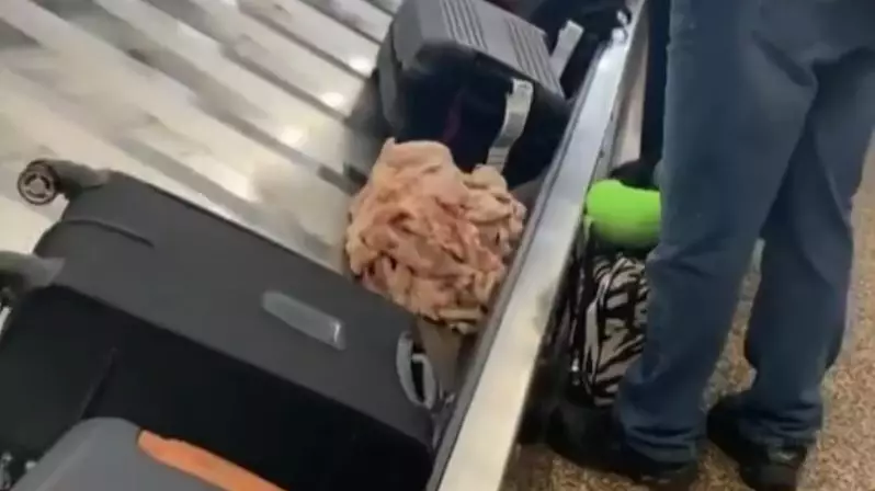 Passengers Shocked At Seeing Pile Of Raw Meat Passing On Luggage Carousel