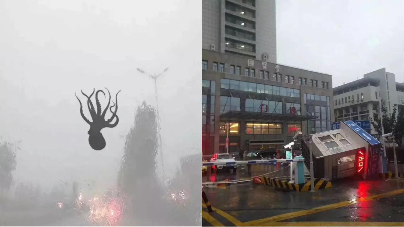 ​Severe Storm Causes Sea Creatures To Rain From Sky