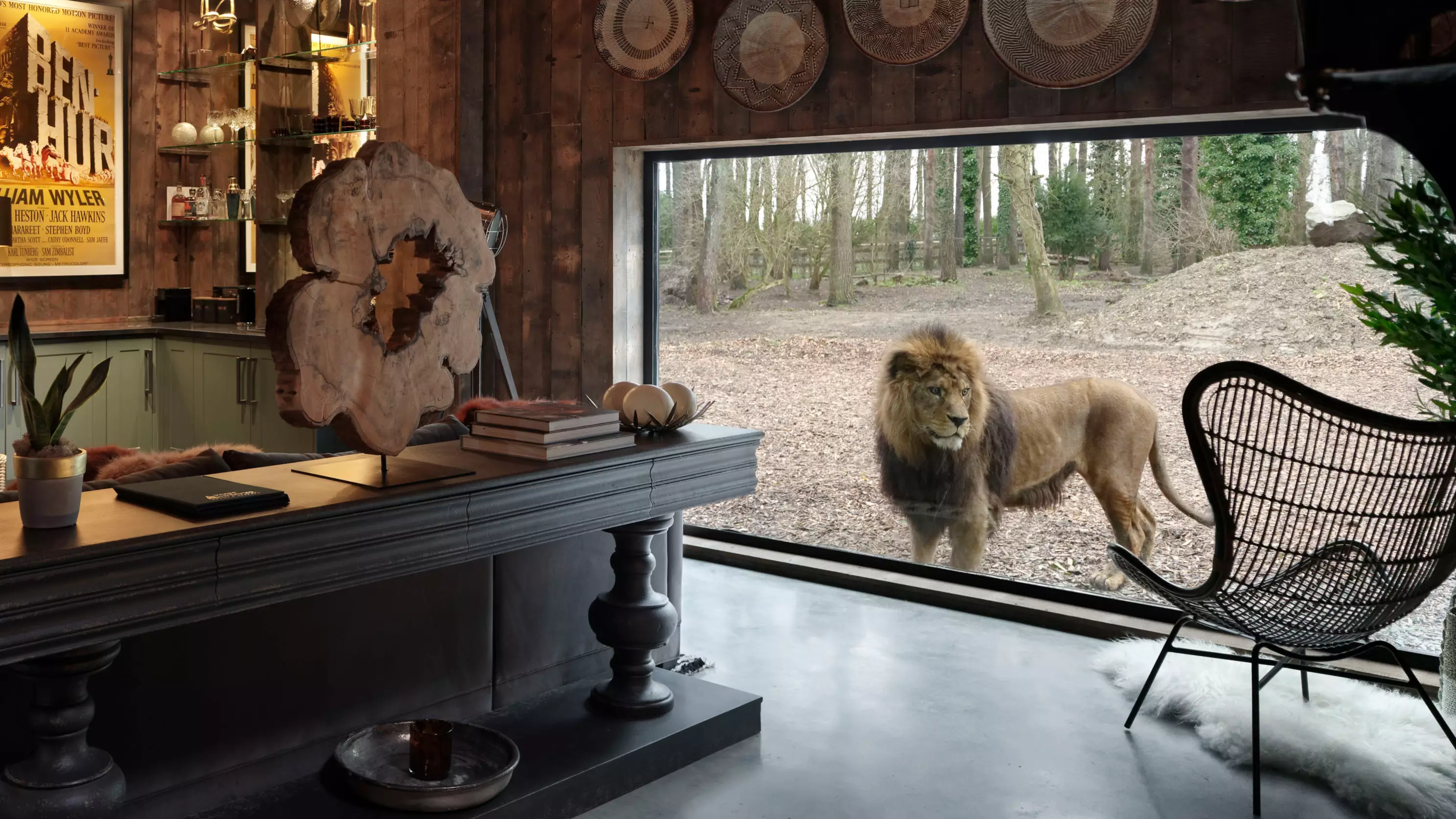 You Can Literally Stay With Lions In This Amazing UK Lodge