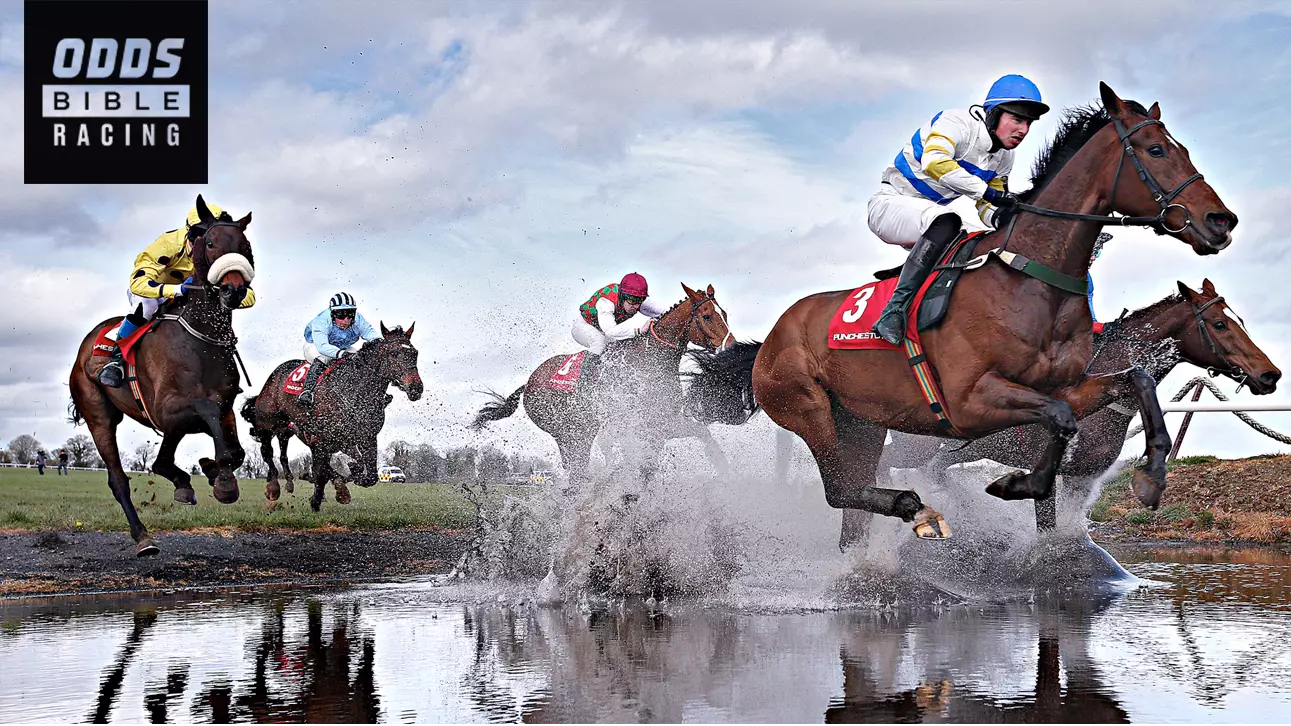 ODDSbibleRacing's Best Bets For Wednesday's Action At Bath, Punchestown And More