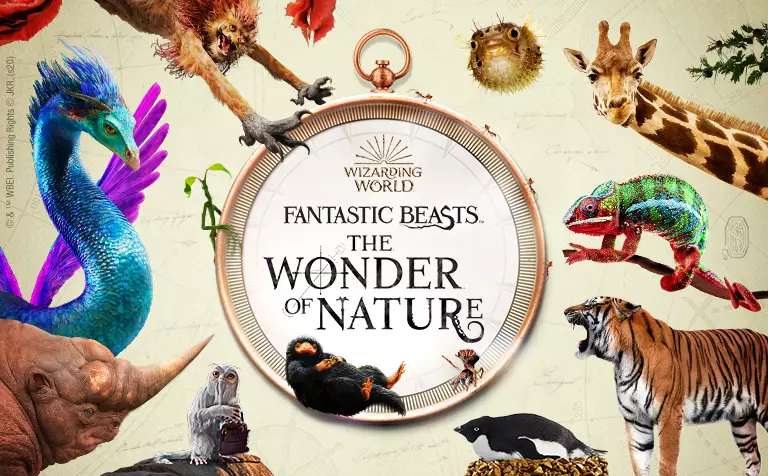 The Wonder Of Nature is coming to the Natural History Museum (