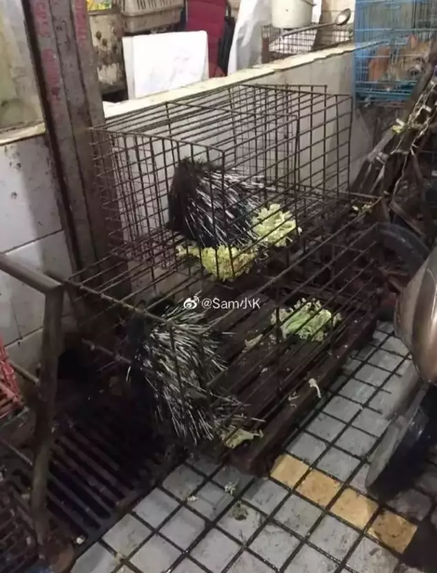 Two workers were pictured skinning rodents, reportedly at the now closed wet market.