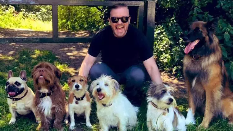 Ricky Gervais Shares Photo Of Dog Cast For After Life 2