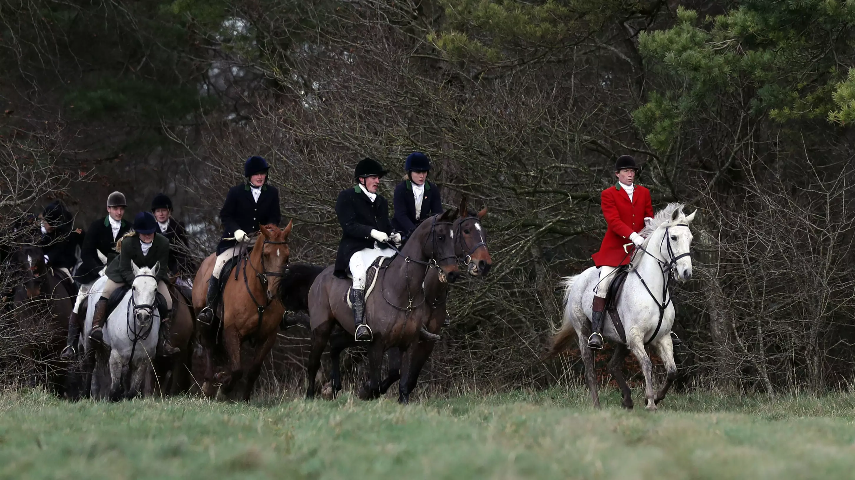 People Are Outraged As Hundreds Of Hunts Go Ahead In Boxing Day Tradition