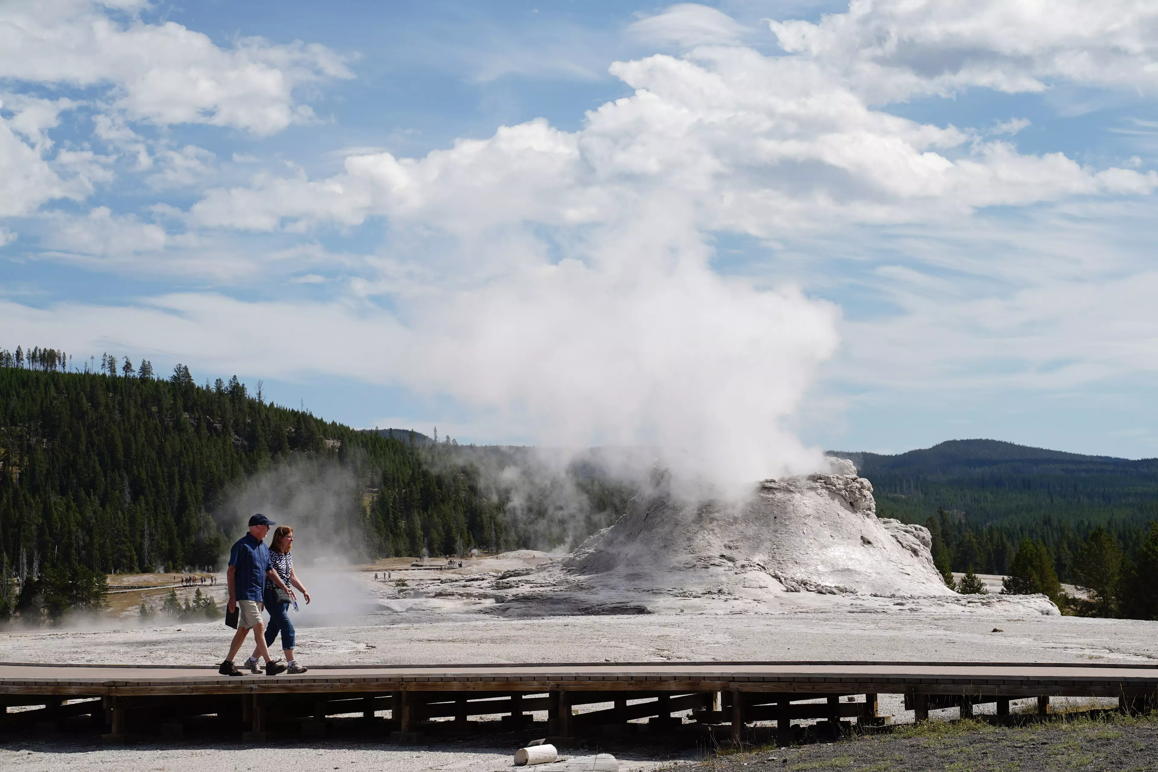 The Castle Geyser in Yellowstone National Park.