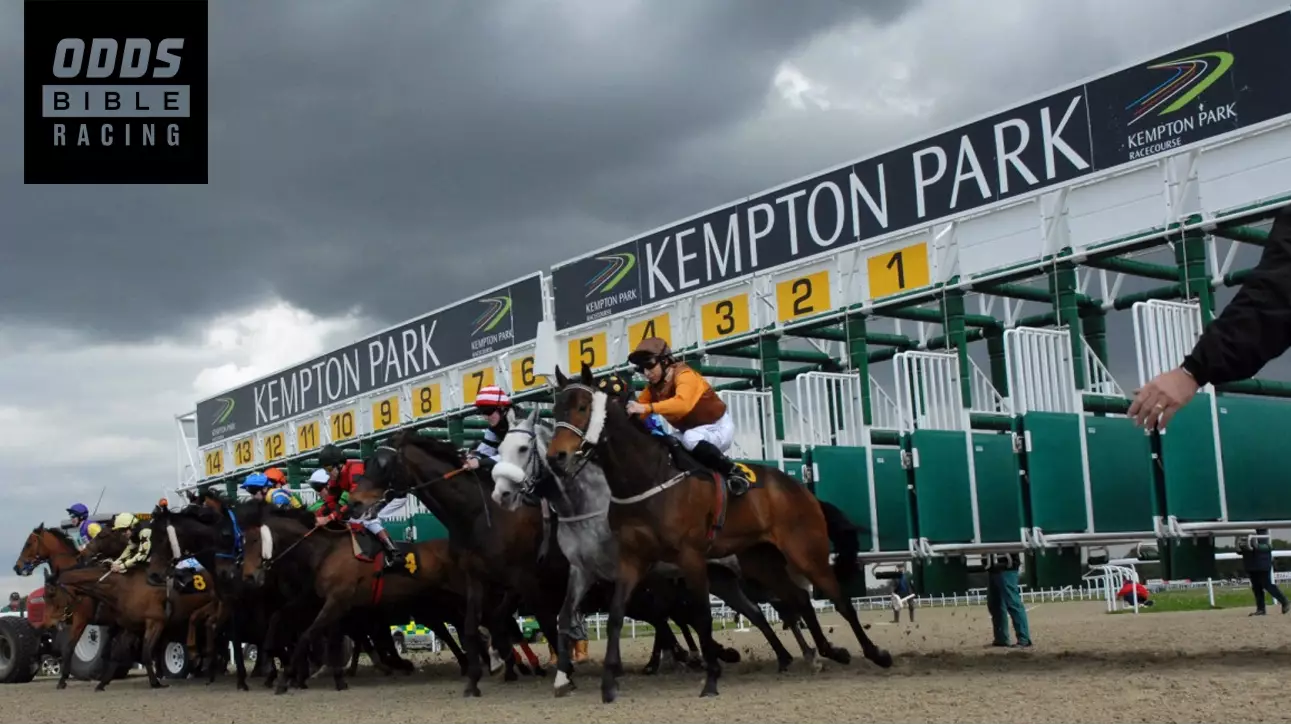 ODDSbibleRacing's Best Bets For Wednesday's Action At Kempton, Ripon And More