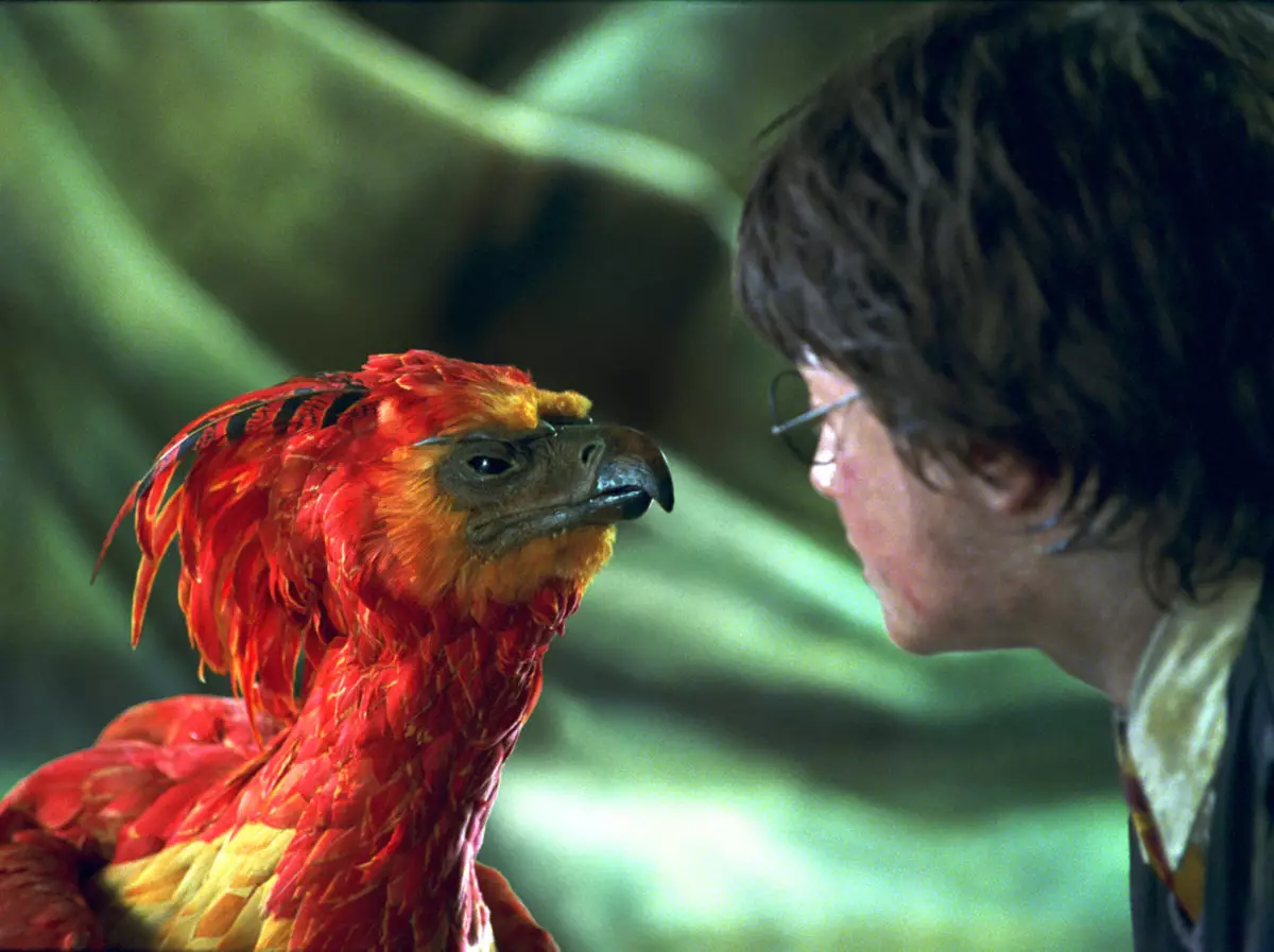 Interesting Harry Potter Fan Theory About Fawkes Might Blow Your Mind