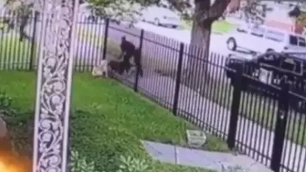 Shocking Footage Shows Detroit Police Officer Shoot And Kill Dog In Its Own Garden