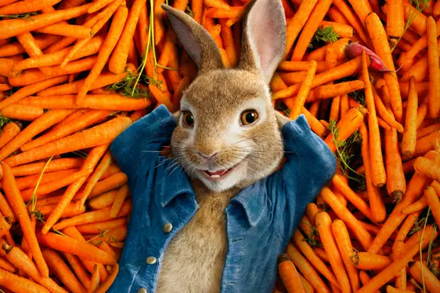The 'Peter Rabbit' sequel has reportedly had its release date pushed back due to coronavirus (