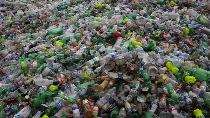 Tesco Set To Pay Customers For Recycling Plastic Bottles