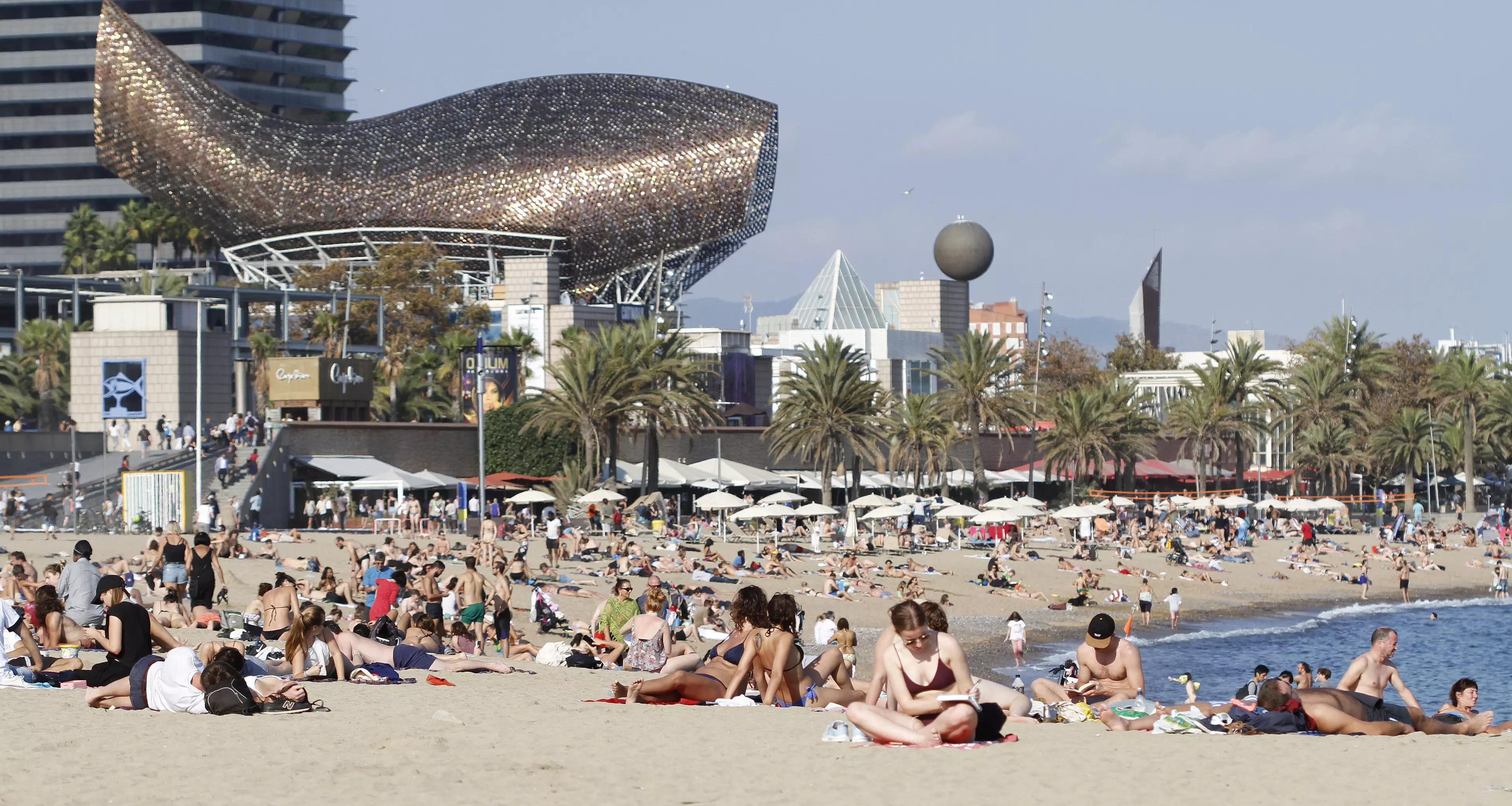 You could get yourself to the beach in Barcelona for as little as £9.99.